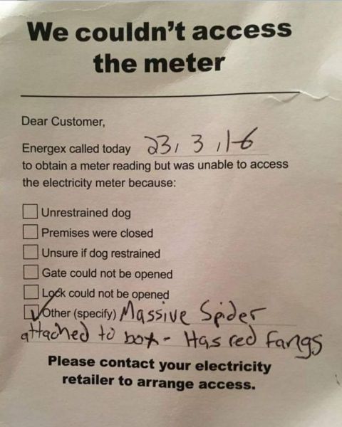 Datei:1650921629494 (JPEG-Grafik, 1080 × 1345 Pixel) - Skaliert (92%) - Pale Moon 27.04.2022 095241.jpg