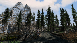 SkyrimSE 2020-09-11 15-27-27.png
