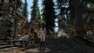 SkyrimSE 2020-02-07 20-12-13 original.png