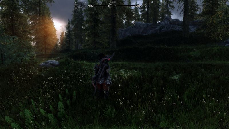 Datei:SkyrimSE 2022-05-03 03-03-40.jpg