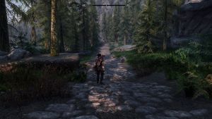 SkyrimSE 2022-05-02 15-48-53.jpg